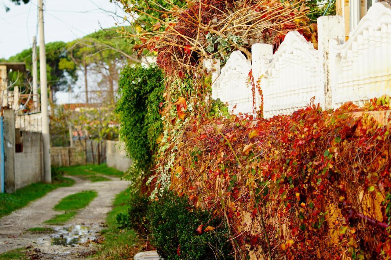 Villa Duka Vlorë Exterior foto